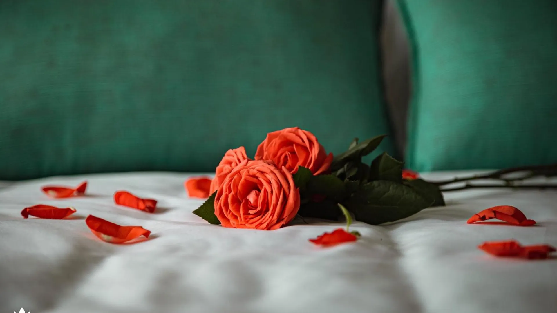 Flower Beachstay & Coffee Da Nang Hotel